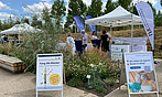 Bild vom LFK-Stand auf der Bundesgartenschau in Mannheim 