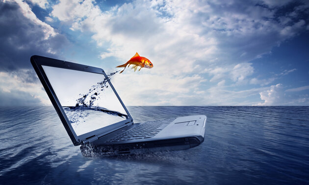 Symbolbild eines Notebooks im Wasser mit einem Fisch