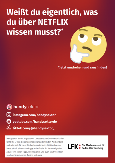 Handysektor Kurz-AGBs: Netflix